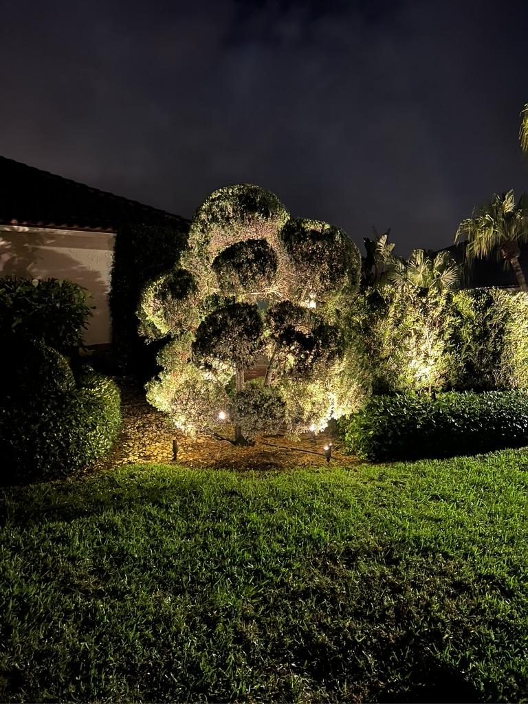 LED Landscape & Outdoor Lighting - project photo 3