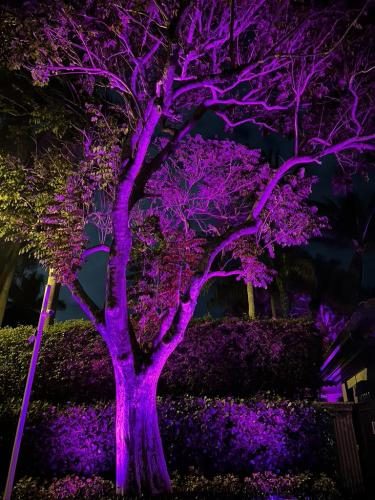 Cliff's Pools & Patios outdoor pool lighting