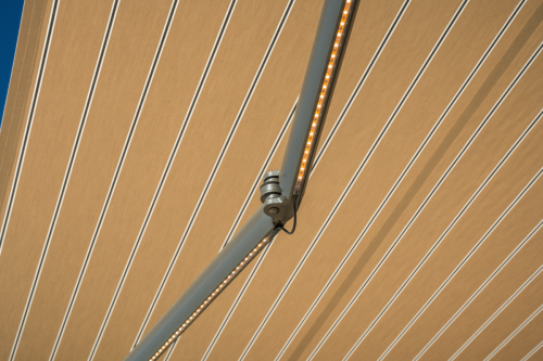 DSC05961-copy (1) (1)