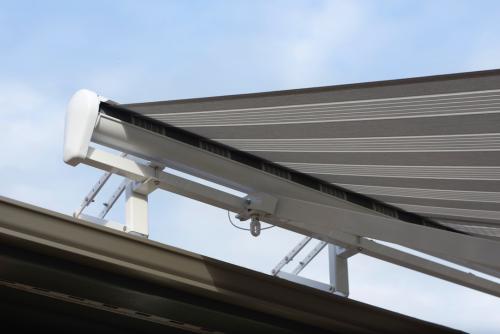 UNADJUSTEDNONRAW thumb 2e54 (1) (1)